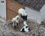 Capi_Dubne_20250707_163003.jpg