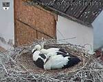 Capi_Dubne_20250707_181003.jpg