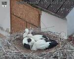 Capi_Dubne_20250707_182003.jpg