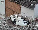 Capi_Dubne_20250707_183503.jpg