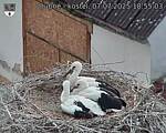 Capi_Dubne_20250707_185503.jpg