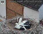 Capi_Dubne_20250707_191003.jpg