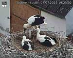 Capi_Dubne_20250707_192502.jpg