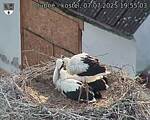 Capi_Dubne_20250707_195503.jpg
