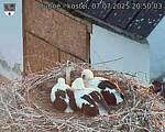 Capi_Dubne_20250707_205003.jpg