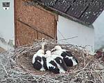 Capi_Dubne_20250707_210503.jpg