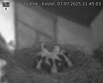 Capi_Dubne_20250707_214503.jpg
