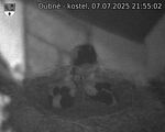 Capi_Dubne_20250707_215502.jpg