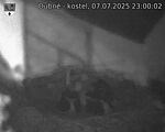 Capi_Dubne_20250707_230002.jpg
