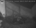 Capi_Dubne_20250708_002002.jpg