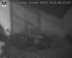 Capi_Dubne_20250708_002503.jpg