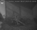 Capi_Dubne_20250708_011002.jpg
