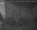Capi_Dubne_20250708_012002.jpg