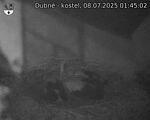 Capi_Dubne_20250708_014502.jpg
