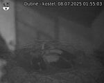 Capi_Dubne_20250708_015503.jpg