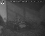 Capi_Dubne_20250708_020002.jpg