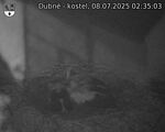 Capi_Dubne_20250708_023503.jpg