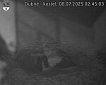 Capi_Dubne_20250708_024503.jpg