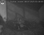 Capi_Dubne_20250708_033003.jpg