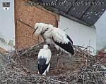Capi_Dubne_20250708_085503.jpg