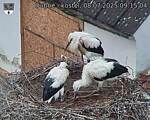 Capi_Dubne_20250708_091504.jpg