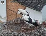 Capi_Dubne_20250708_092003.jpg