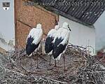 Capi_Dubne_20250708_102003.jpg