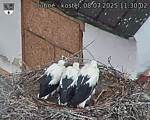 Capi_Dubne_20250708_113002.jpg