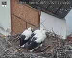 Capi_Dubne_20250708_115503.jpg
