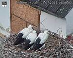 Capi_Dubne_20250708_145003.jpg