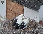 Capi_Dubne_20250708_152002.jpg