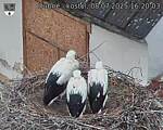 Capi_Dubne_20250708_162003.jpg