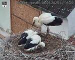 Capi_Dubne_20250708_173503.jpg