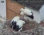 Capi_Dubne_20250708_174503.jpg