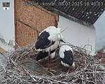 Capi_Dubne_20250708_184003.jpg