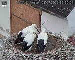 Capi_Dubne_20250708_192003.jpg