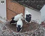 Capi_Dubne_20250708_193503.jpg