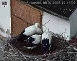 Capi_Dubne_20250708_194502.jpg