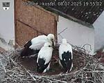 Capi_Dubne_20250708_195502.jpg