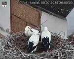 Capi_Dubne_20250708_200003.jpg
