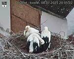 Capi_Dubne_20250708_200502.jpg