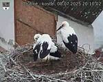 Capi_Dubne_20250708_201002.jpg