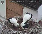 Capi_Dubne_20250708_201502.jpg