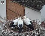 Capi_Dubne_20250708_204503.jpg