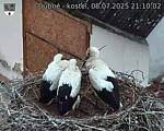 Capi_Dubne_20250708_211002.jpg