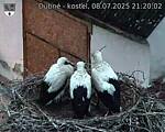 Capi_Dubne_20250708_212002.jpg