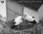 Capi_Dubne_20250708_213002.jpg