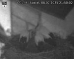Capi_Dubne_20250708_215002.jpg