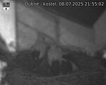 Capi_Dubne_20250708_215502.jpg
