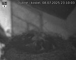 Capi_Dubne_20250708_231003.jpg